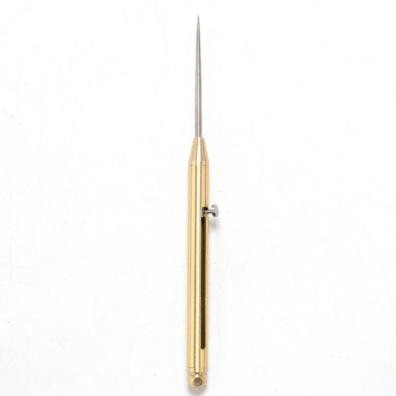 Outdoor EDC Toothpick Bottle Fruit Fork Stainless Steel Toothpick With Protective Case