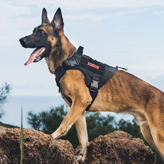 OneTigris Dog Harness Vest for Walking Hiking Hunting Tactical Military Water-Resistan