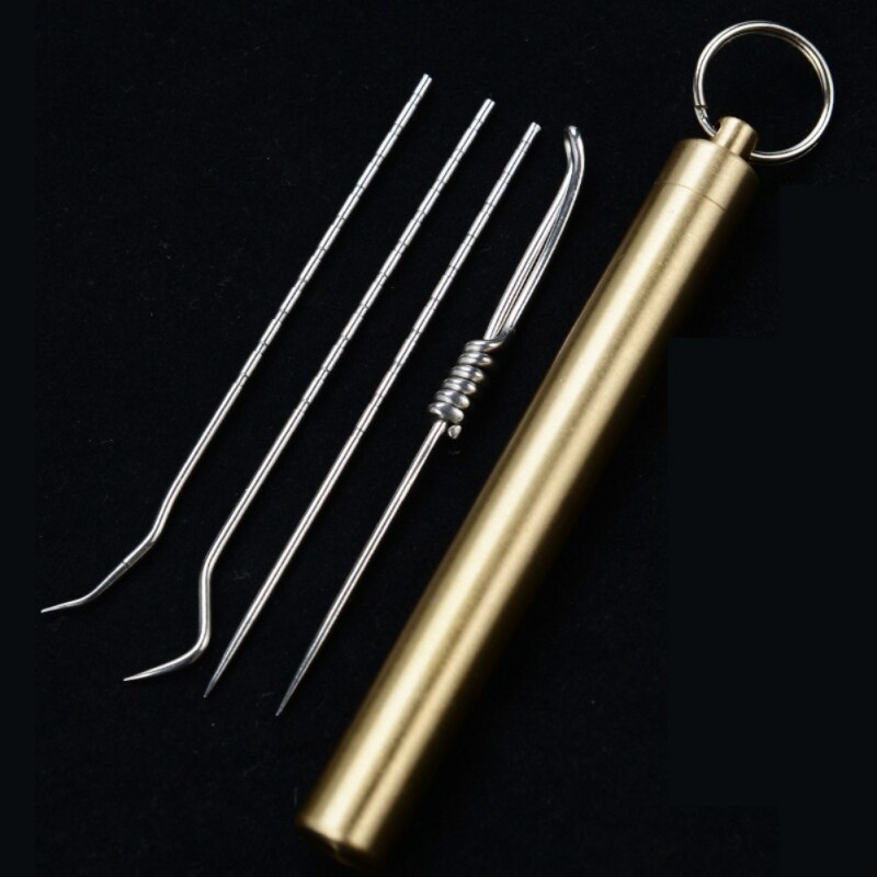 Outdoor EDC Toothpick Bottle Fruit Fork Stainless Steel Toothpick With Protective Case